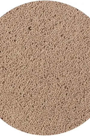 Weekendaanbieding Rond Vloerkleed Desso Asteranne 2946